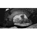 The Magic Circle Steam Key GLOBAL