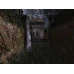 Darkness Within: In Pursuit of Loath Nolder (PC) - Steam Key - GLOBAL