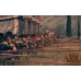 Total War: ROME II - Emperor Edition Steam Key GLOBAL