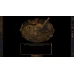 Baldur's Gate: Enhanced Edition Steam Key GLOBAL
