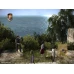 The Chronicles of Narnia: Prince Caspian Steam Key GLOBAL