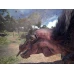 Monster Hunter World (Xbox One) - Xbox Live Key - ARGENTINA