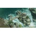 Desperados III Digital Deluxe Edition (PC) - Steam Key - RU/CIS