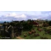 A Game of Thrones - Genesis Steam Key POLAND