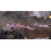 Paradox Platinum Pack Steam Key GLOBAL