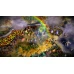 Eador. Imperium Steam Key GLOBAL