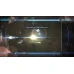 Defenders of the Last Colony Steam Key GLOBAL