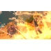 Dragon Ball Xenoverse 2 (PC) - Steam Key - EUROPE