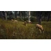 Way of the Hunter (PC) - Steam Key - EUROPE