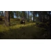Way of the Hunter (PC) - Steam Key - EUROPE
