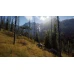 Way of the Hunter (PC) - Steam Key - EUROPE