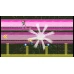 Capsule Force Steam Key GLOBAL
