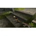 Tomb Raider I Steam Key GLOBAL