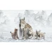 Shelter 2 Steam Key GLOBAL