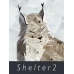 Shelter 2 Steam Key GLOBAL